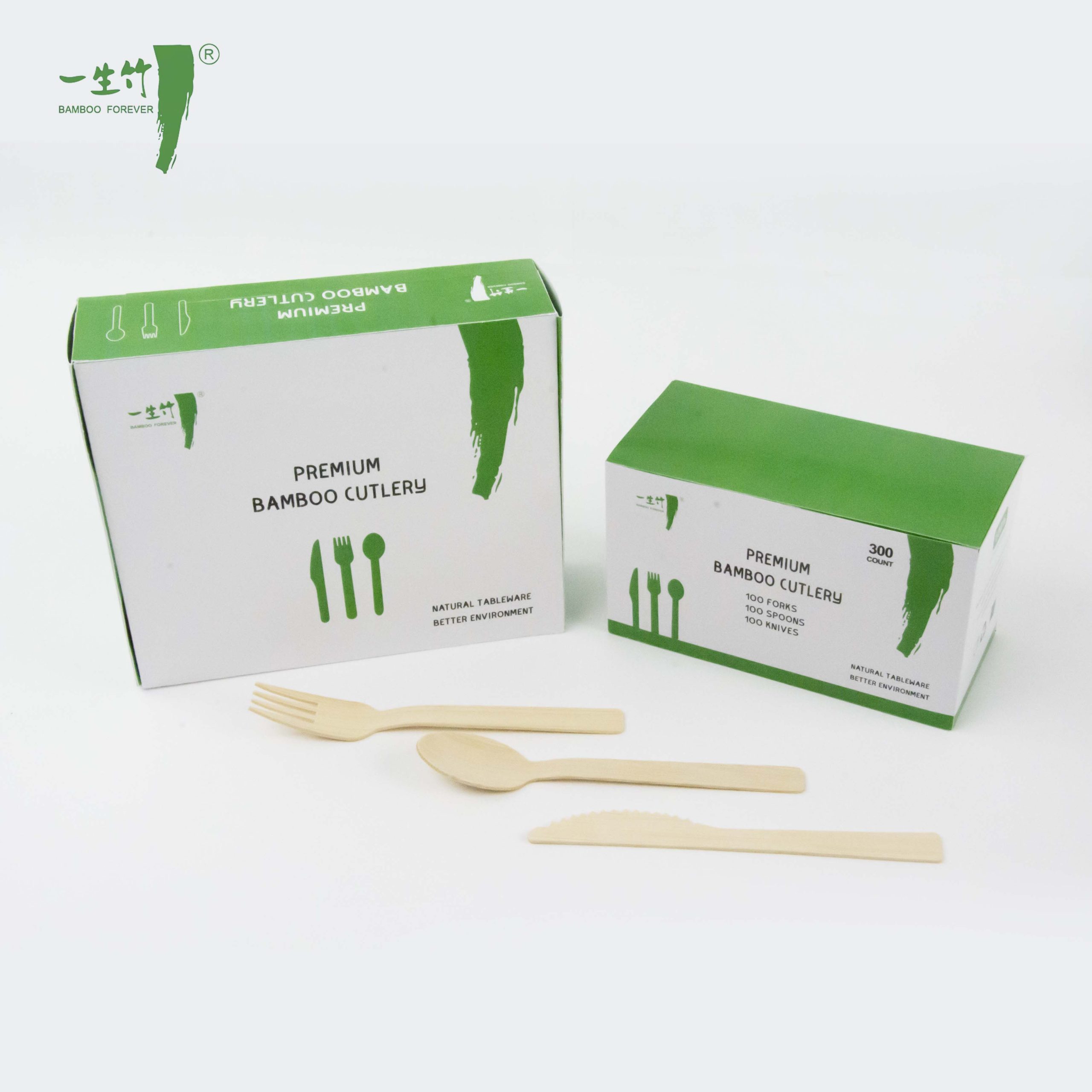 맞춤형 포장 박스 생분해성 대나무 식기 일회용